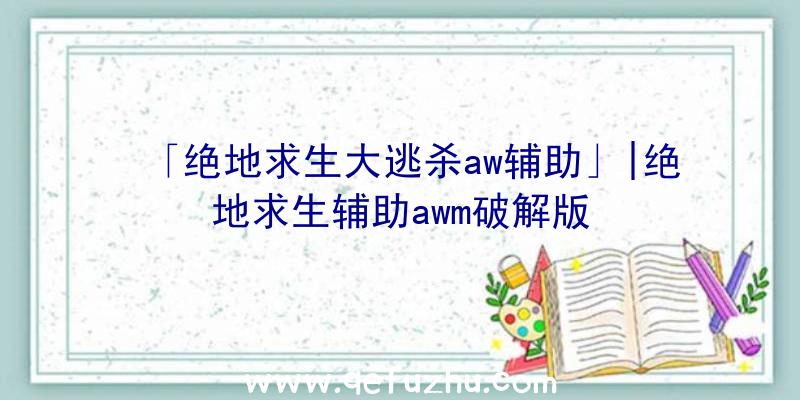 「绝地求生大逃杀aw辅助」|绝地求生辅助awm破解版